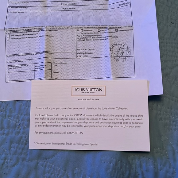 Louis Vuitton Bag - Picture 8 of 11